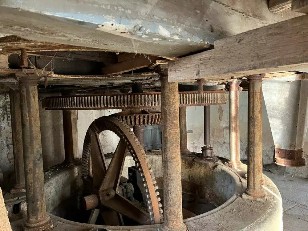 Slide image