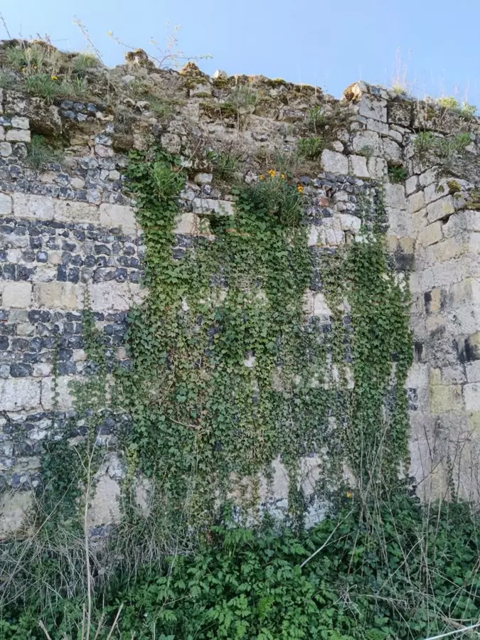 Slide image