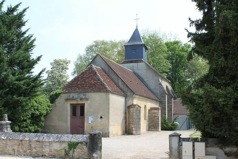Slide image