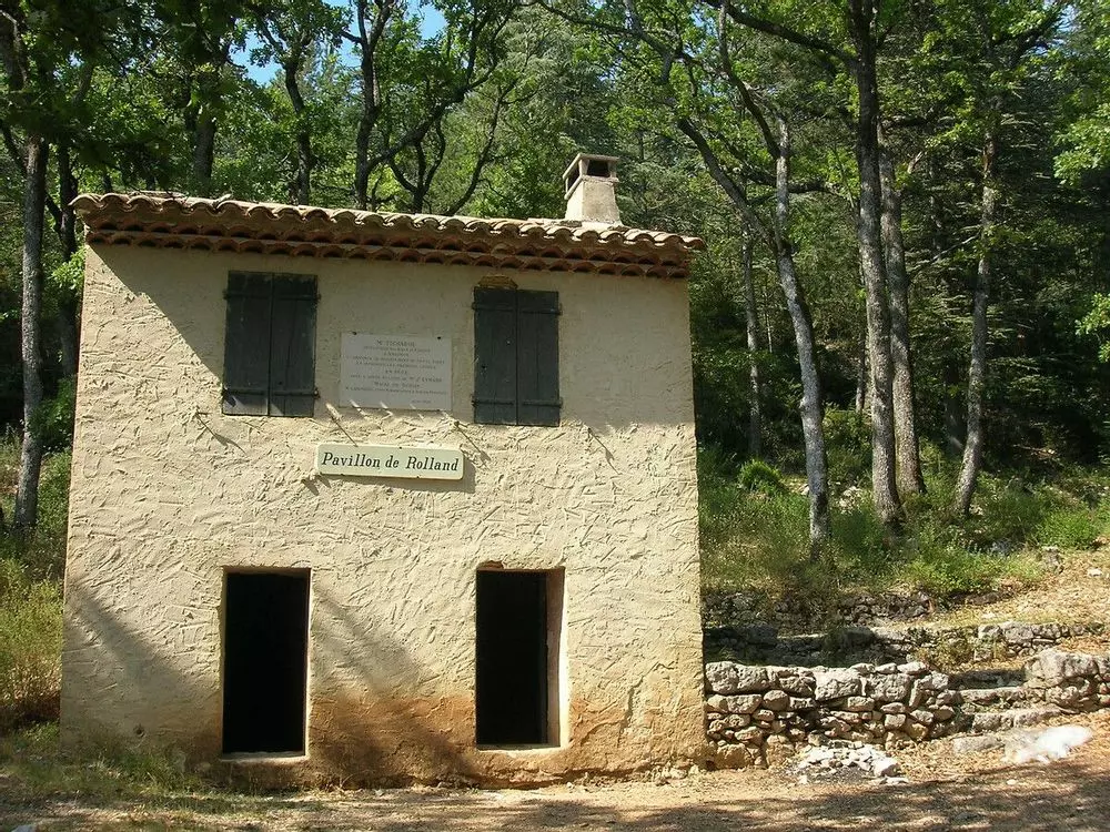 Slide image