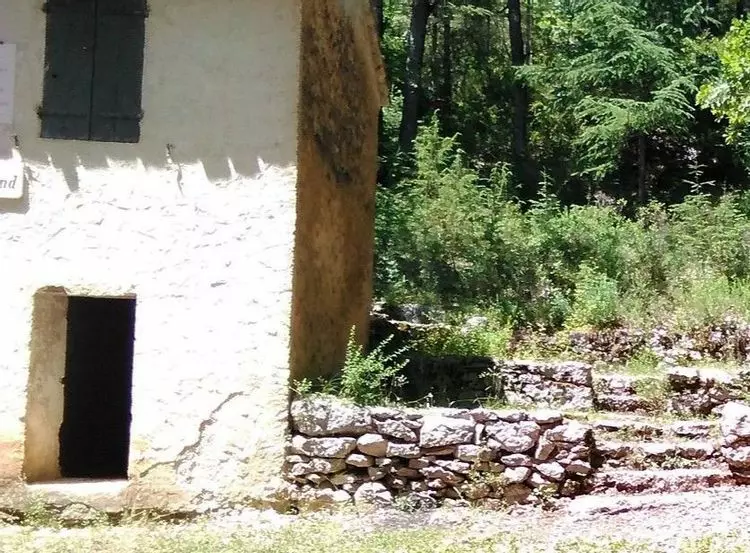 Slide image