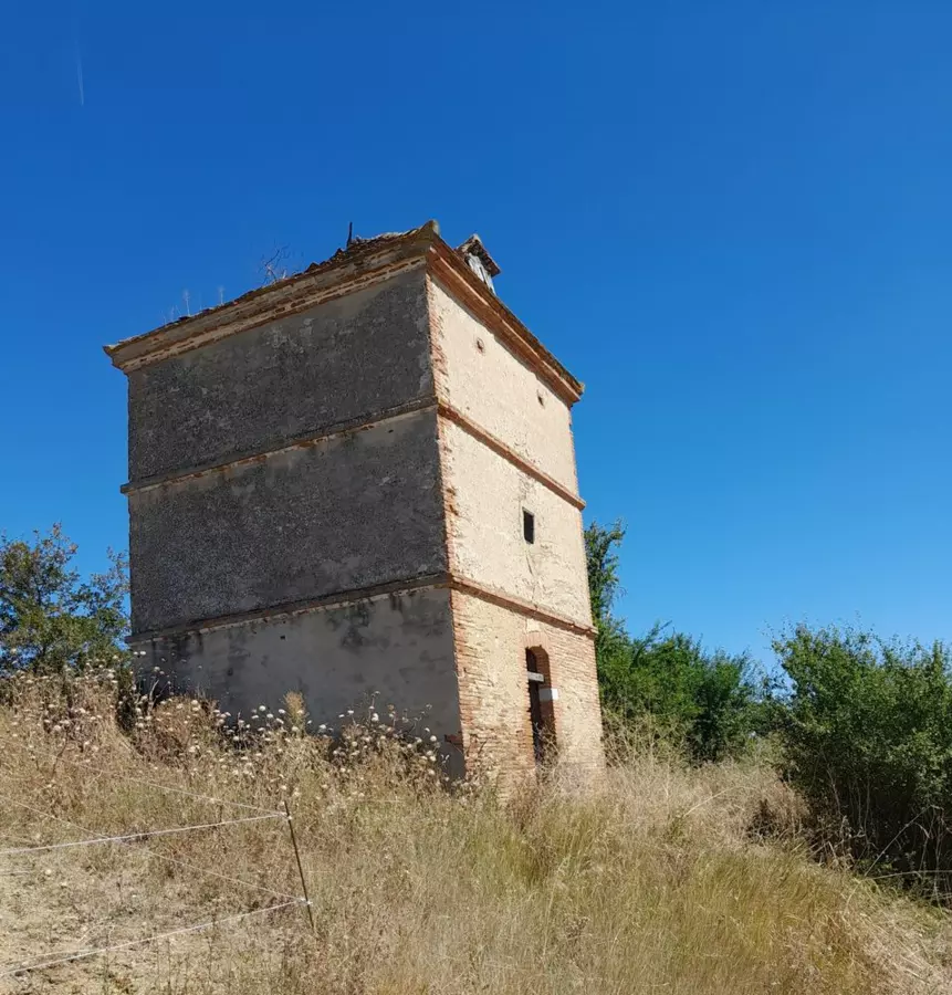 Slide image