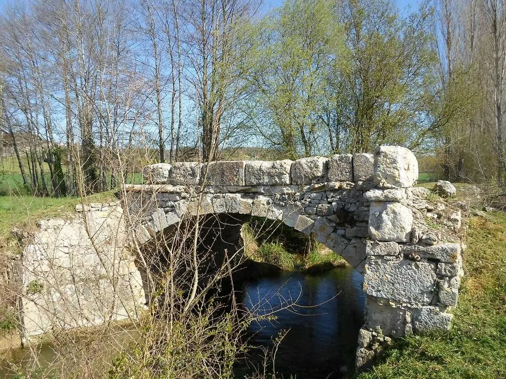 Slide image