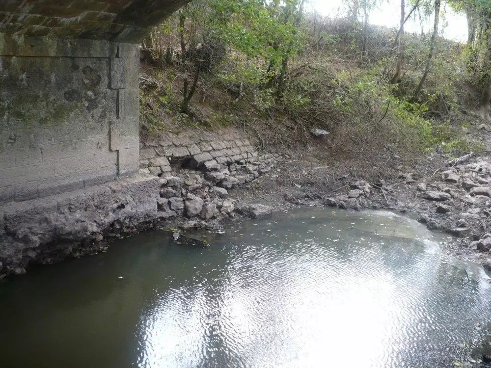 Slide image