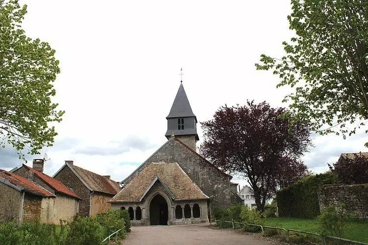 Slide image