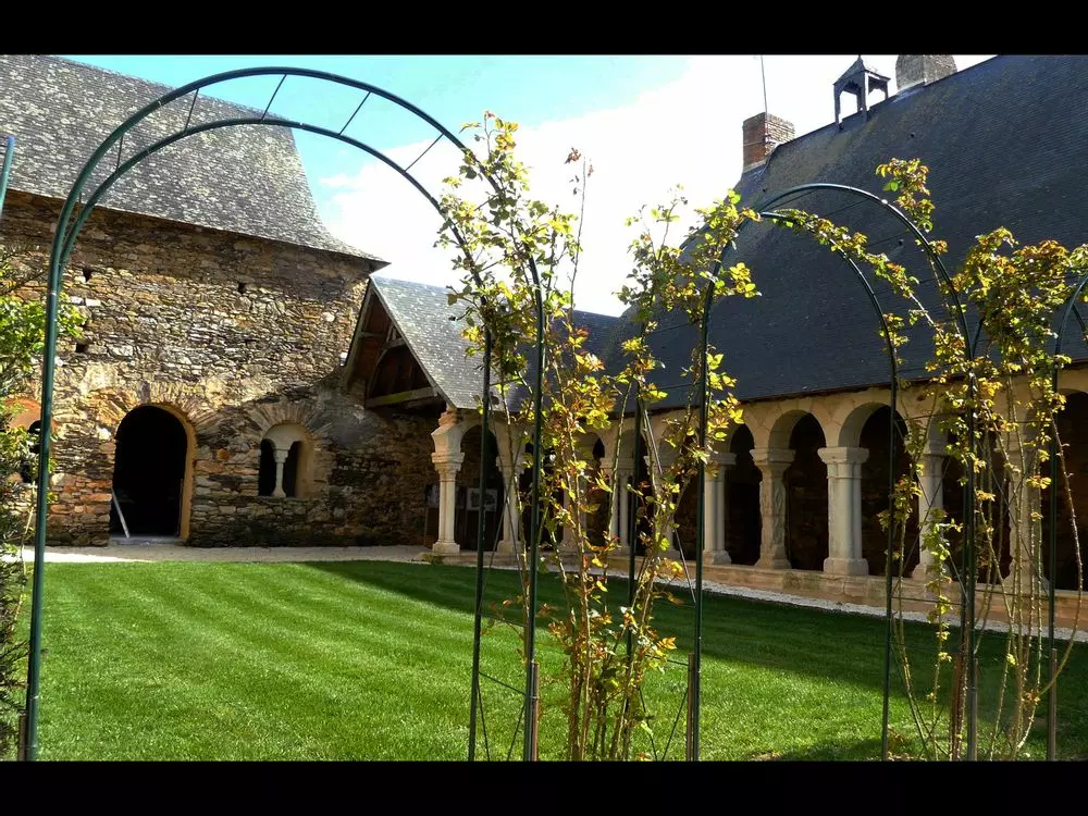 Slide image