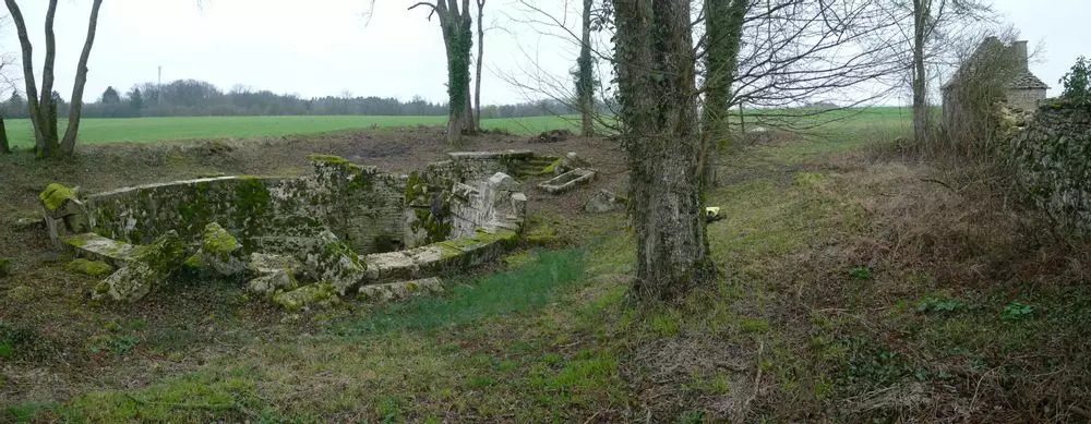 Slide image