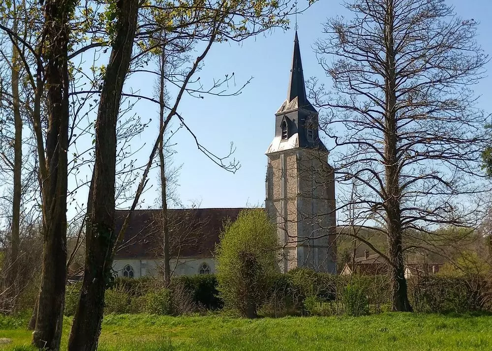 Slide image