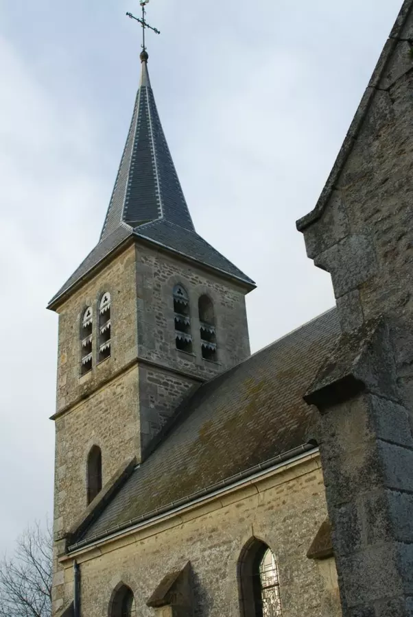 Slide image