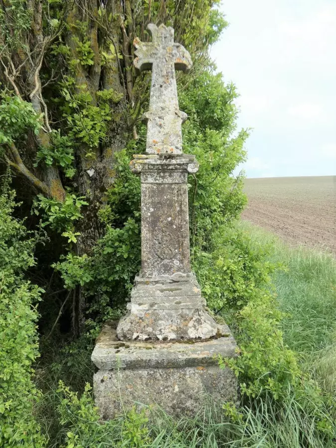 Slide image