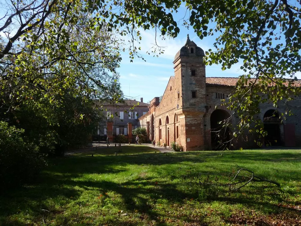 Slide image