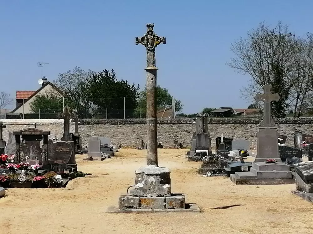 Slide image