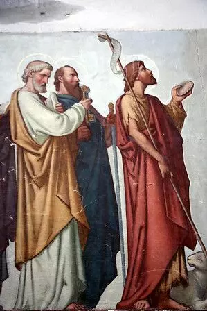 Slide image