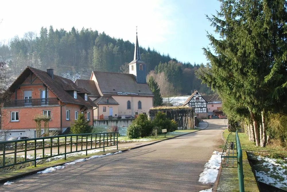 Slide image