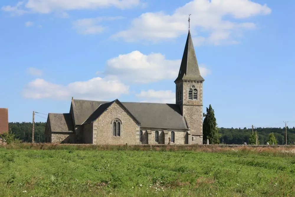 Slide image