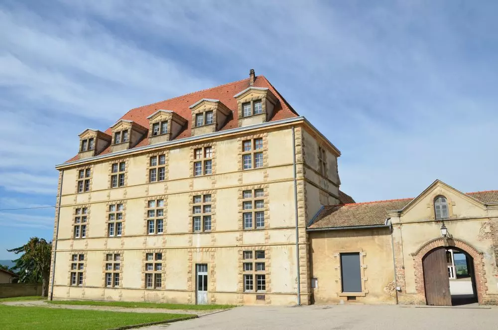 Slide image