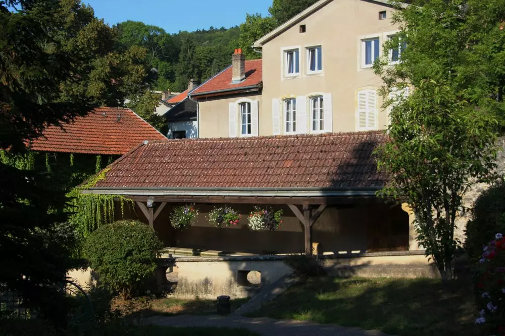 Slide image