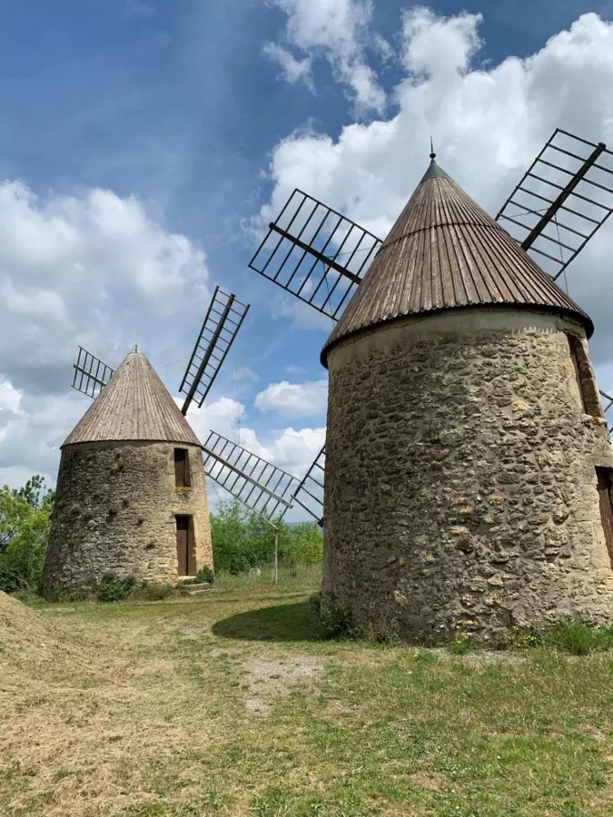 Slide image
