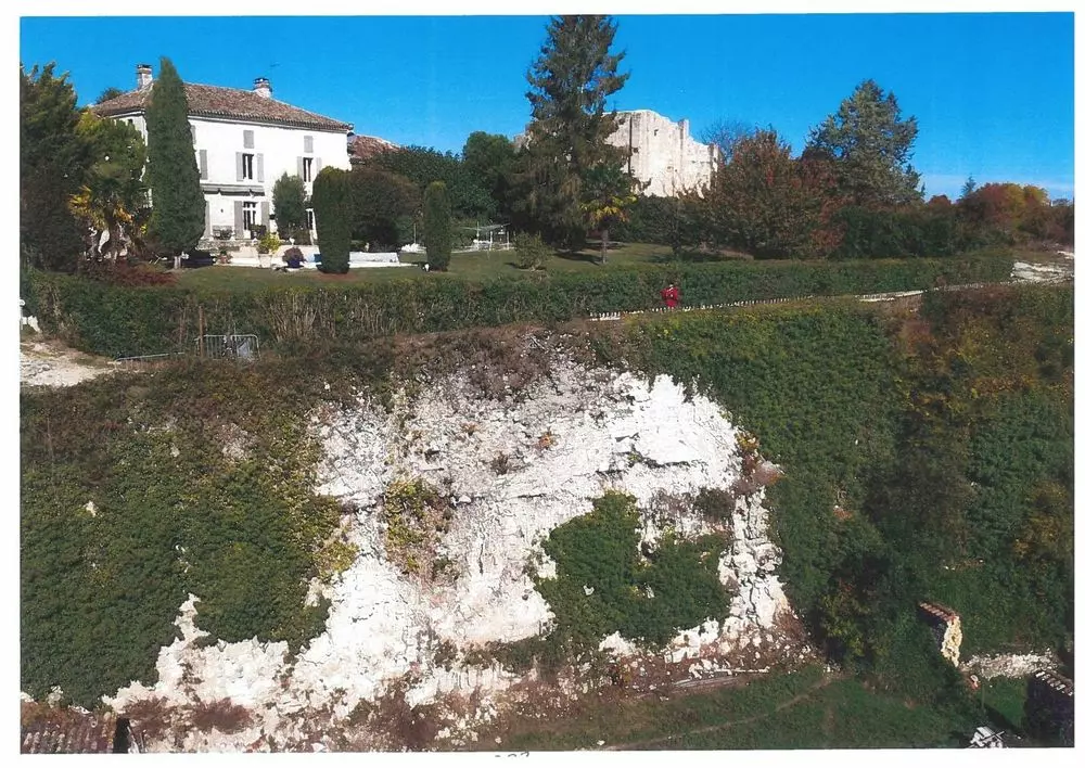 Slide image