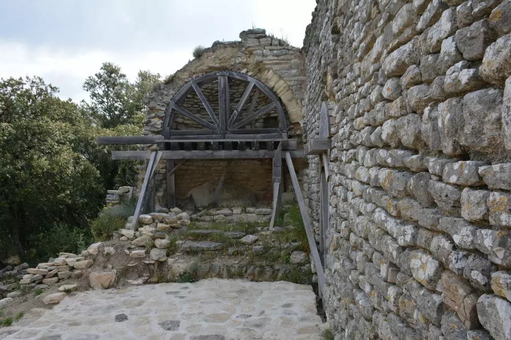 Slide image