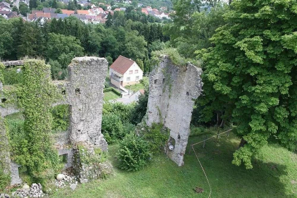 Slide image