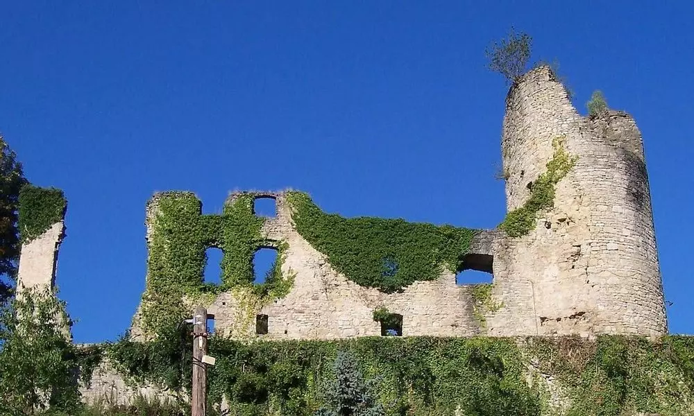 Slide image