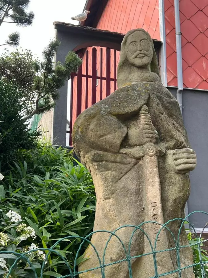 Slide image