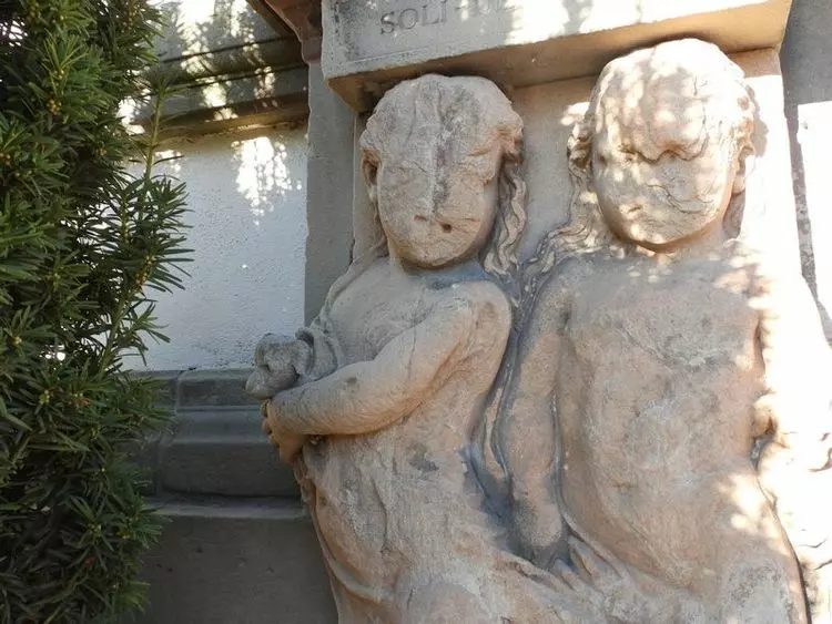 Slide image