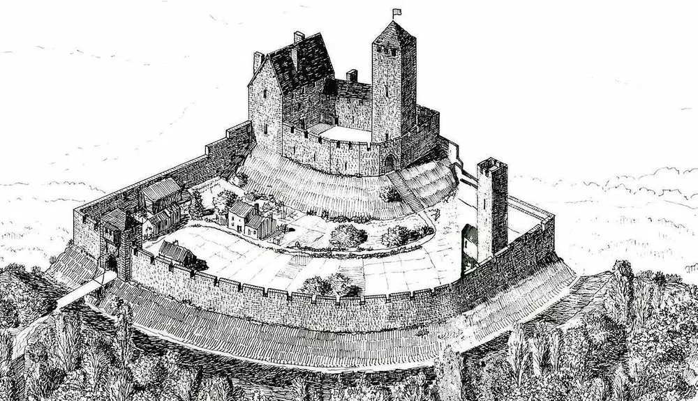 Slide image
