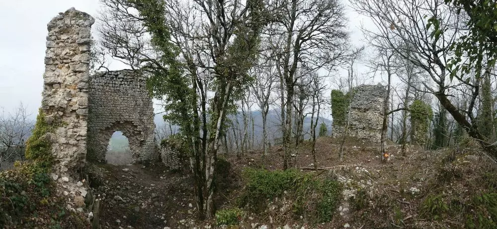 Slide image