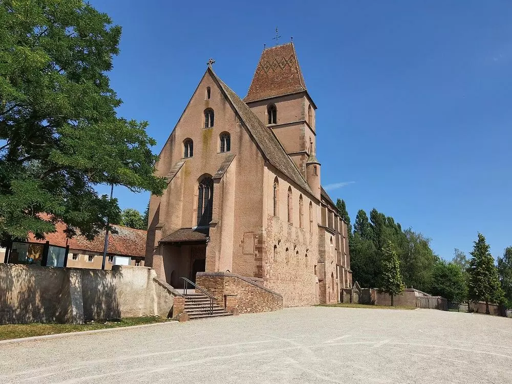 Slide image