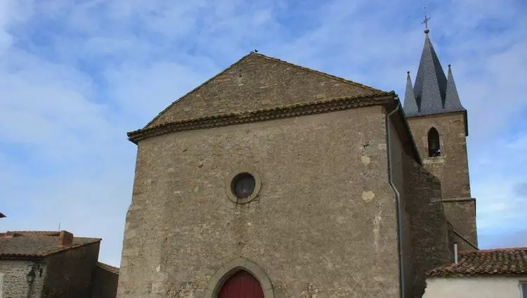 Slide image