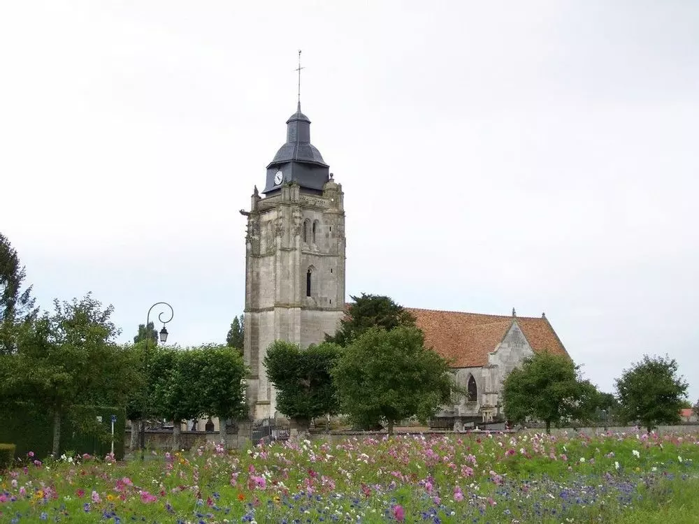Slide image