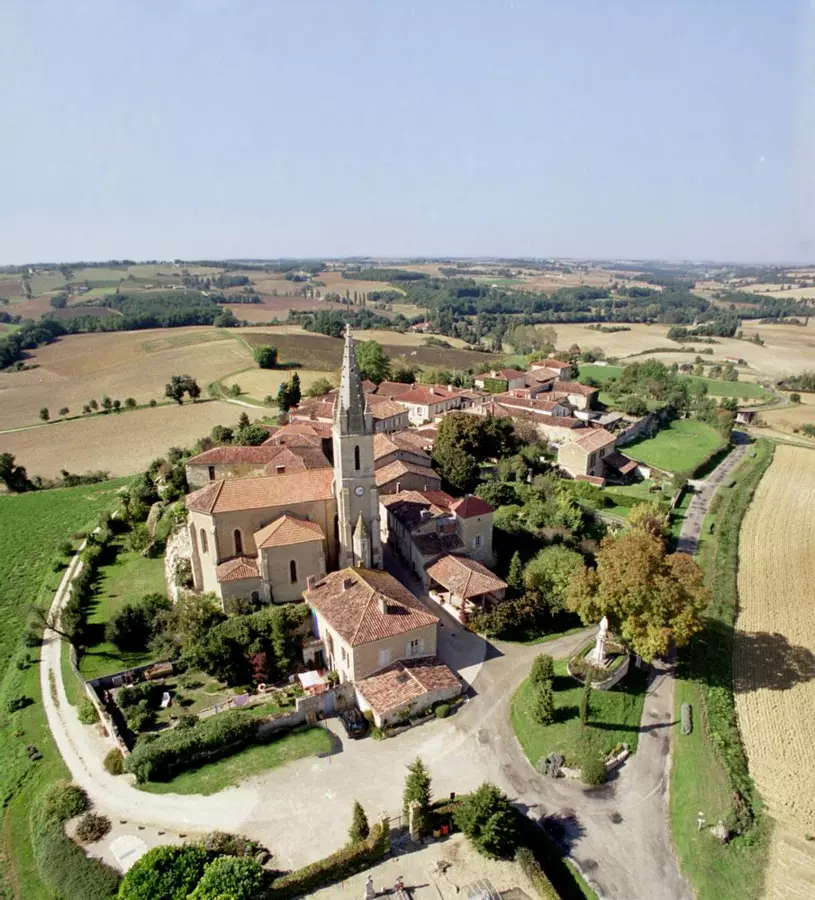 Slide image