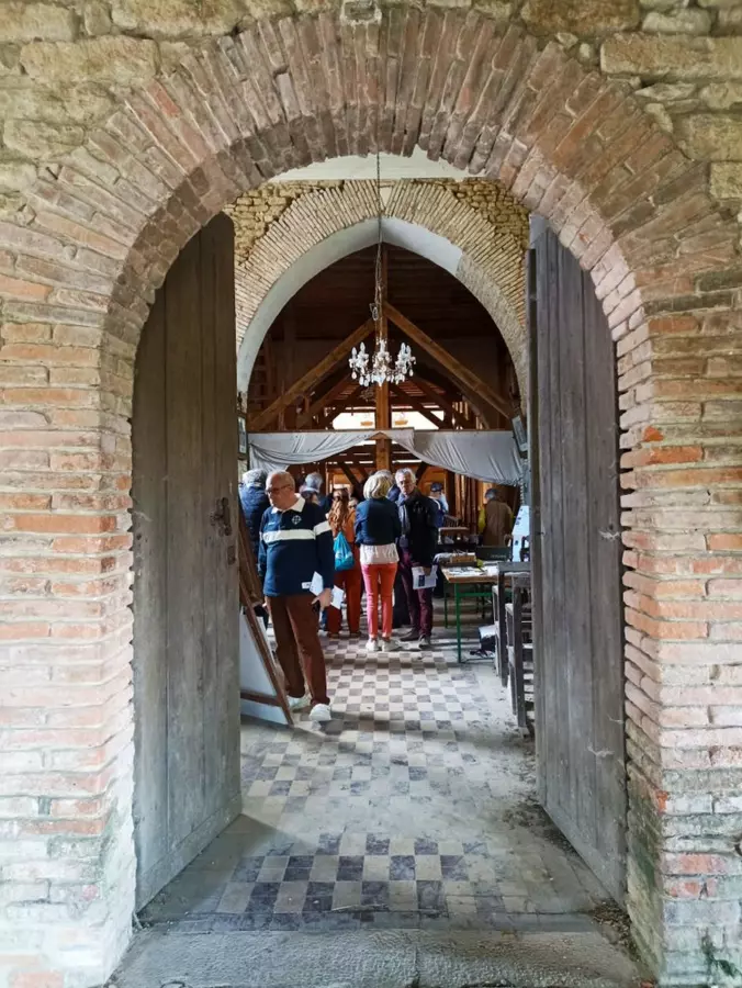 Slide image