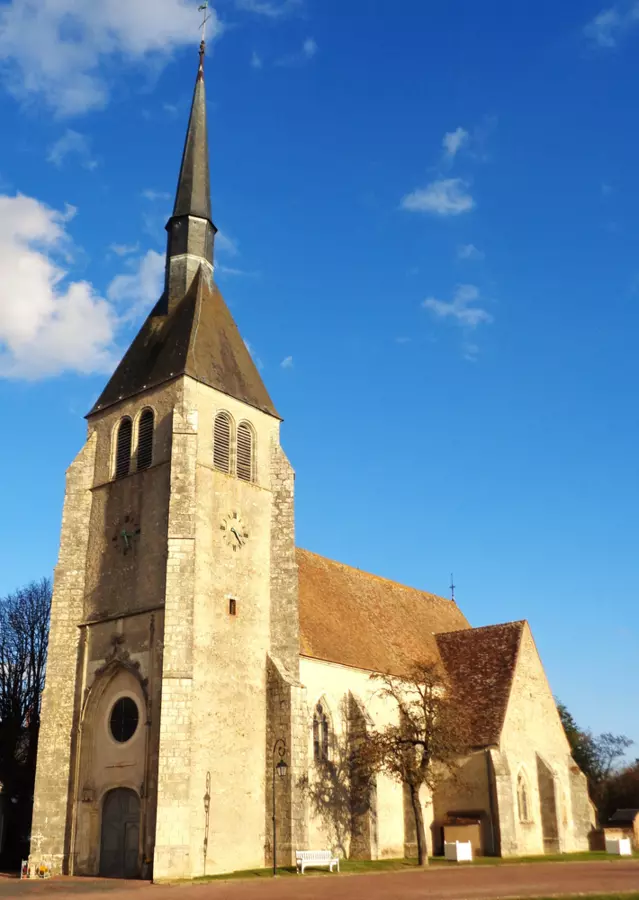 Slide image