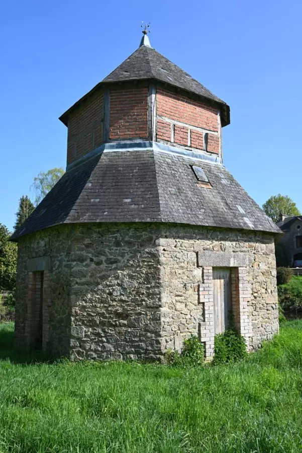 Slide image