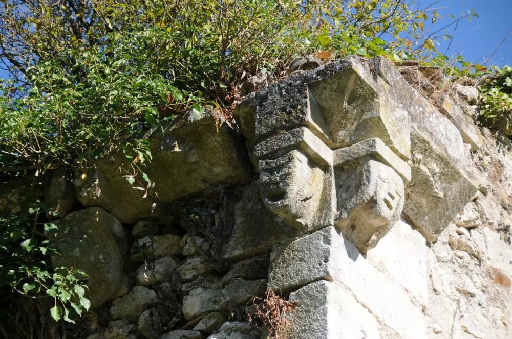 Slide image