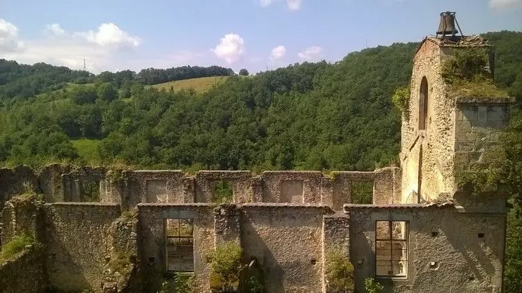 Slide image