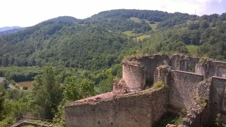 Slide image
