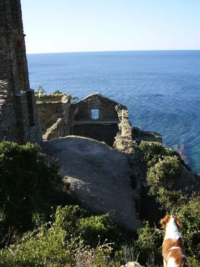 Slide image