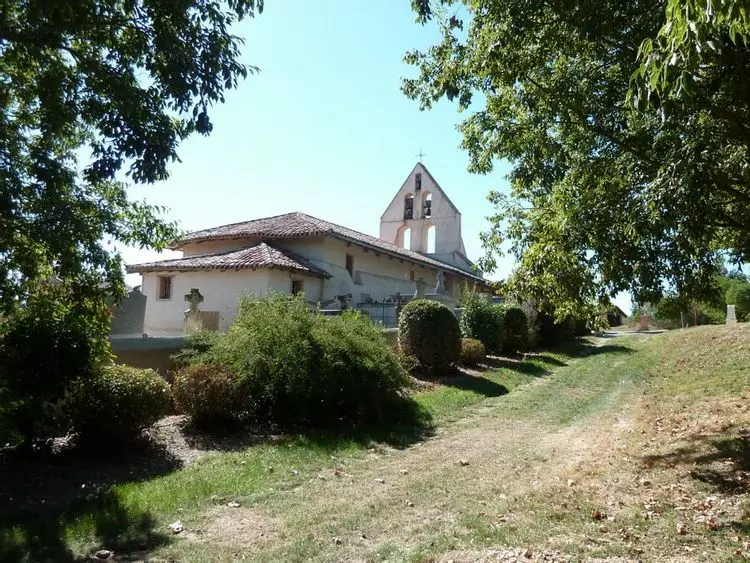 Slide image