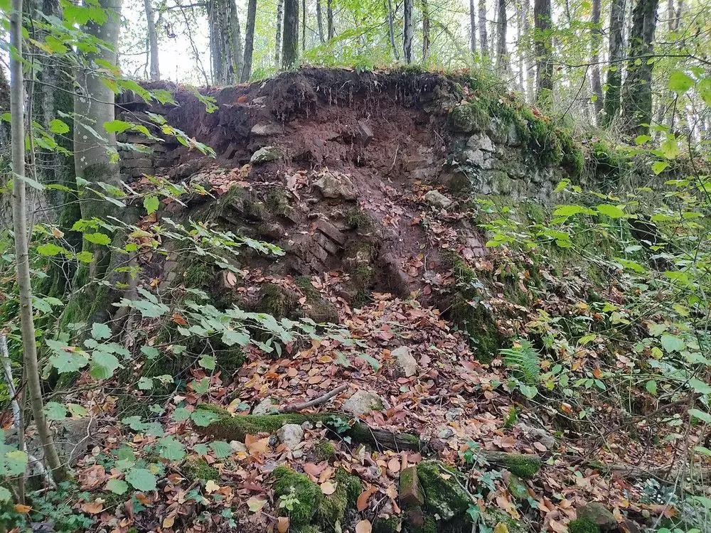 Slide image