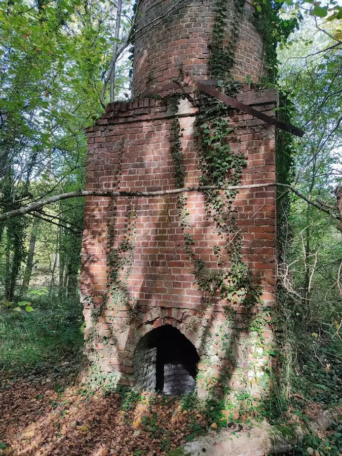 Slide image