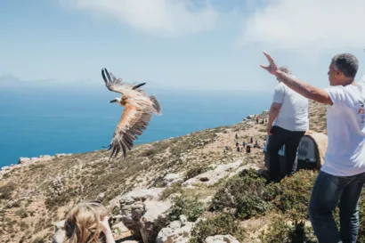 A VOL D'OISEAU, le film