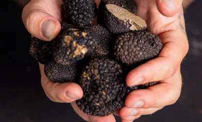 Adopte une truffe en Charente-Maritime