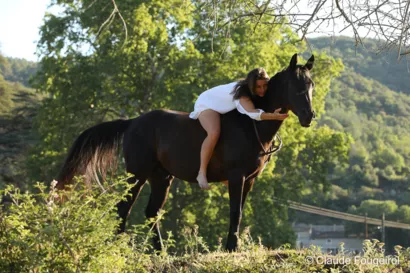 Centre thérapeutique pour chevaux et humains à la montagne