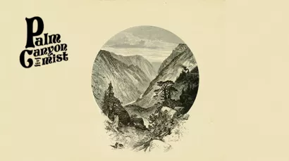 PALM - Canyon in the Mist