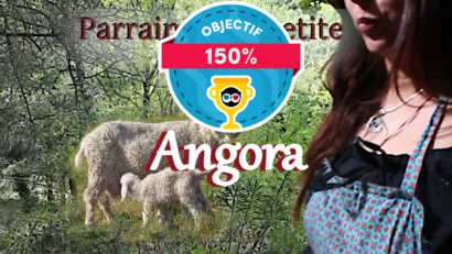 Parraine une chèvre angora et reçois des cadeaux laineux