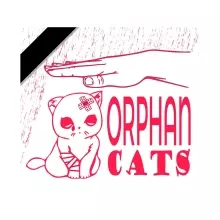 Association Orphan Cats Chanel Portal